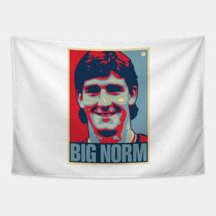 Big Norm Tapestry