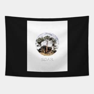 Soar Tapestry