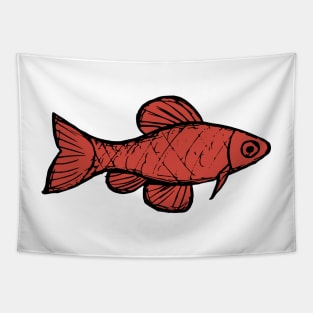 Cherry barb - freshwater aquarium fish Tapestry