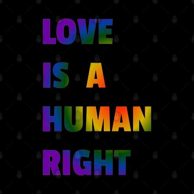 Love is a Human Right by BiLifeClothingCo