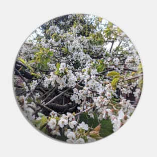 White Cherry Blossom Pin