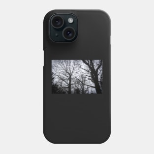 Tree Skeletons in fog Phone Case