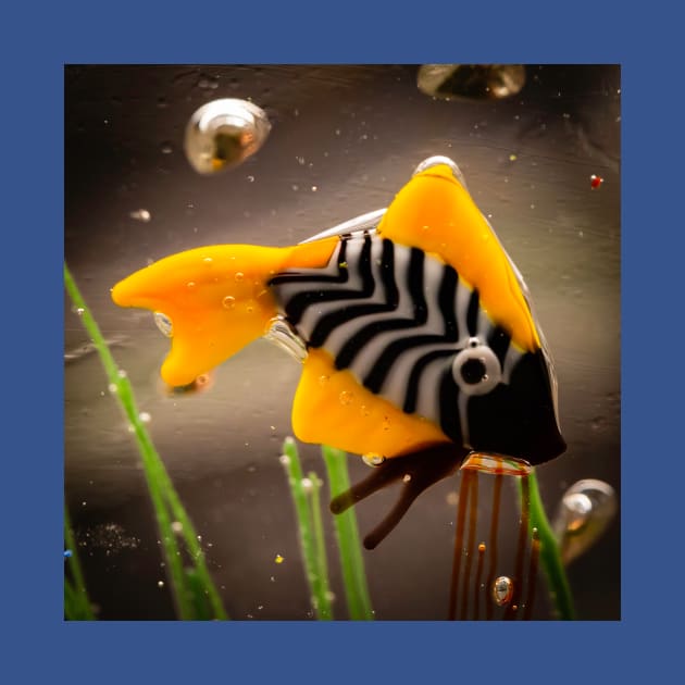 Murano Glass Fish by thadz