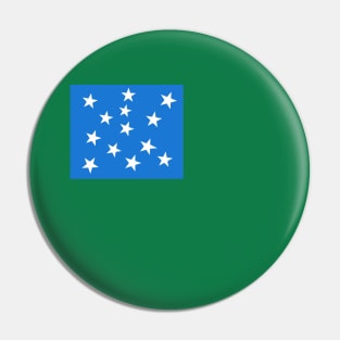 Green Mountain Boys Flag Pin