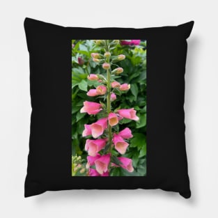 Perennial Pink Foxglove Flower Pillow