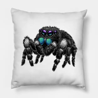 Daring Jumping Spider Phidippus Audax Pillow