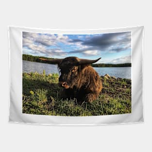 Scottish Highland Cattle Bull 1791 Tapestry