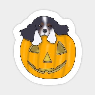 Puppy in a pumpkin  (cavalier king charles spaniel) Magnet