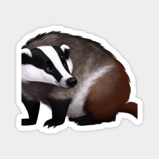 Cute Badger Drawing Magnet