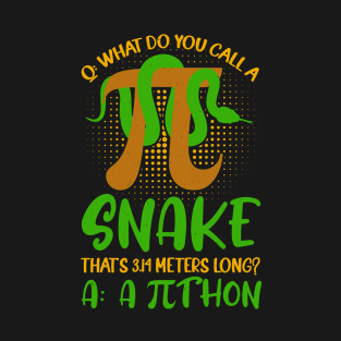 Pithon Pi Symbol Funny Math Teacher T-Shirt