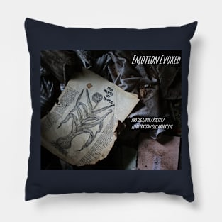 Emotion Evoked - Abandoned Pillow