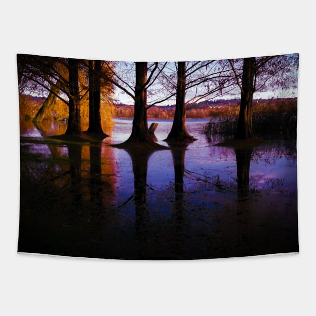 Autumn tree reflection in water landscape photography Tapestry by marghe41