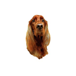 Irish Setter - Glamorous Dog! T-Shirt