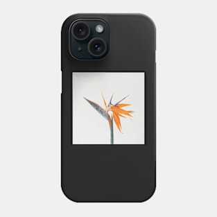 Bird of Paradise Phone Case