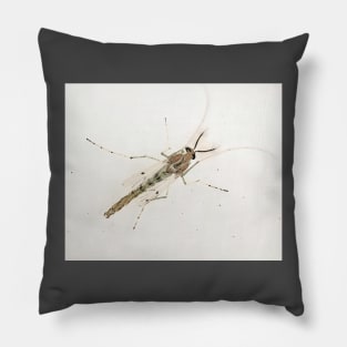 midge Pillow