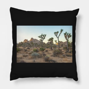 Joshua Tree Morning Pillow