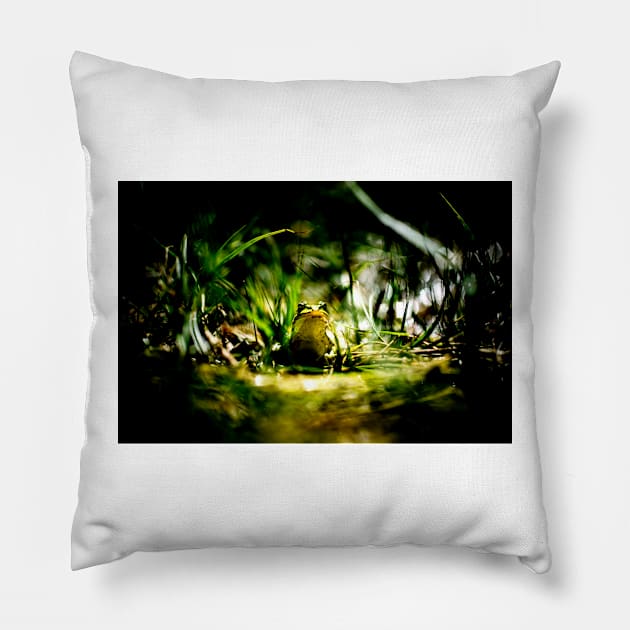 Frogger - High Contrast Pillow by arc1