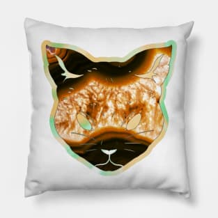 Molten lava cat print - Volcanic Pillow