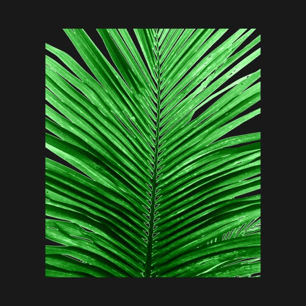 TROPICAL PALM LEAF by GOTOCREATE