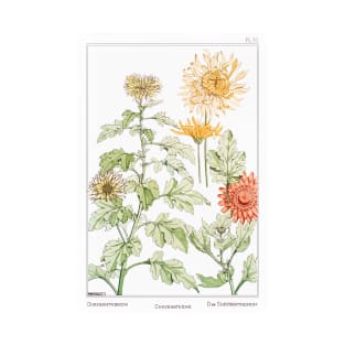 Chrysanthemum (1896) T-Shirt