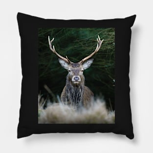 Highland Stag Pillow