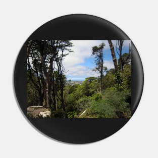 View From Pena National Palace, Sintra, Portugal Pin