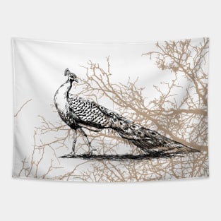 Peacock print Tapestry