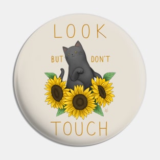 Look But Don't Touch Pin