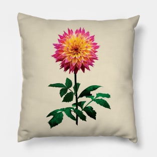 Pink and Yellow Dahlia Pillow