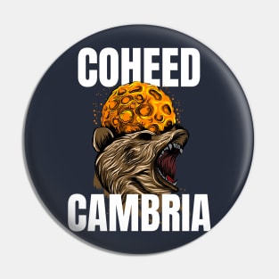 Coheed cambria Pin