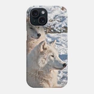 Arctic Wolves Phone Case