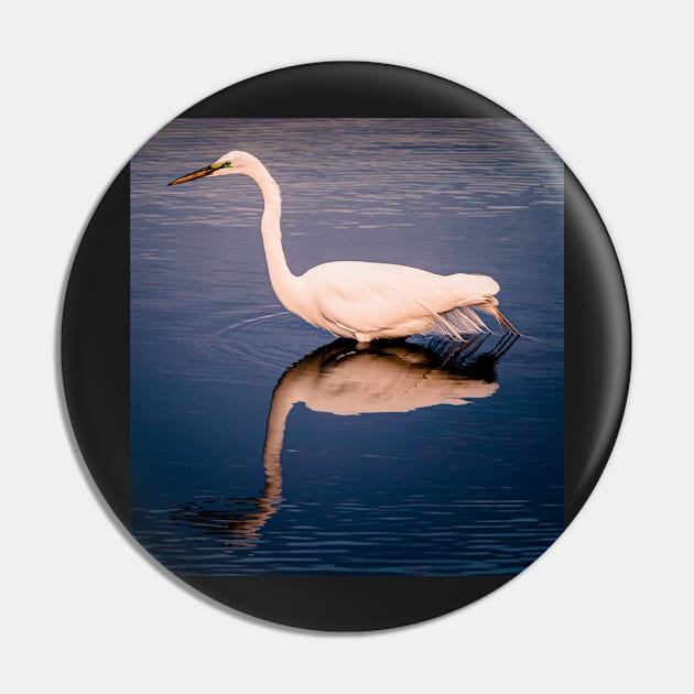 Great Egret reflection Pin by blossomcophoto