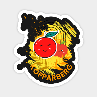 kopparberg expressen Magnet