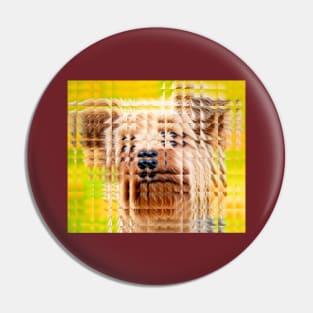 Glass Block Yorkie looking at you Pin