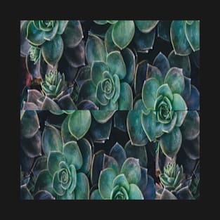 Succulents T-Shirt