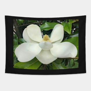 Natural Beauty of the Sweet White Magnolia Tree Tapestry