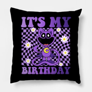 Funny Its My Birthday Pillow