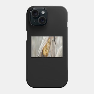 Field Corn Awaiting Harvest Phone Case