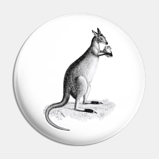 Kangaroo lowland king Pin