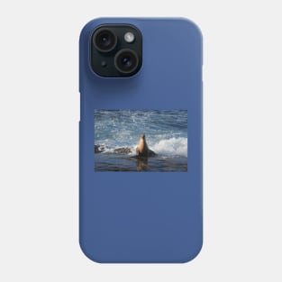 California Sea Lion, Marine Life, Wildlife, Nature Phone Case