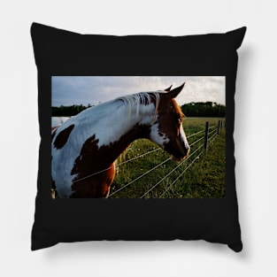 Horse Profile Pillow