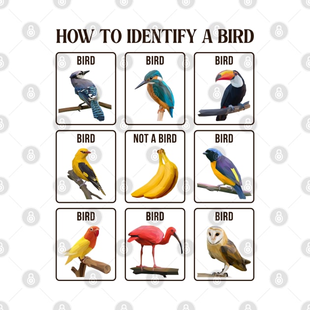 How To Identify A Bird by faagrafica