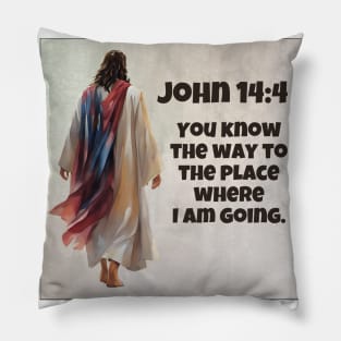 John 14:4 Pillow