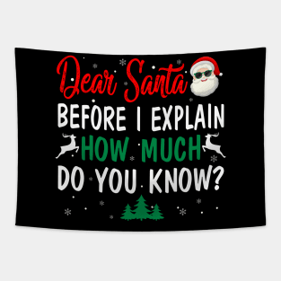 Funny Christmas Dear Santa I Can Explain Tapestry