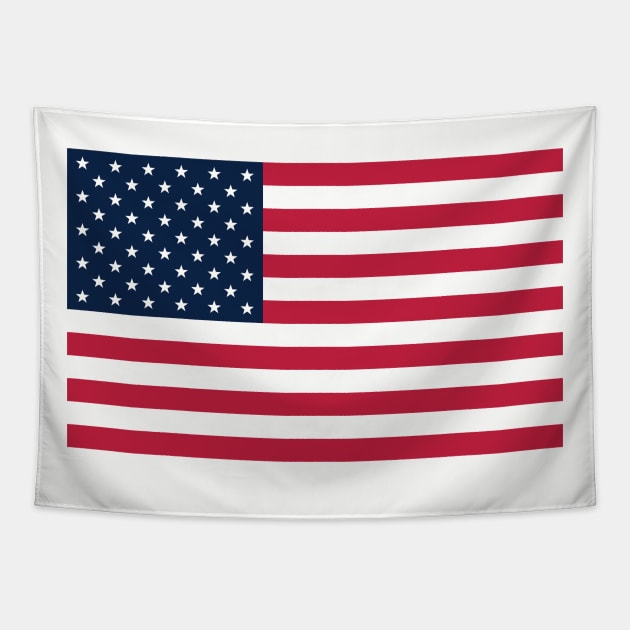 USA Flag Transparent Tapestry by MrLarry