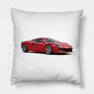 ACS Cartoon Pillow