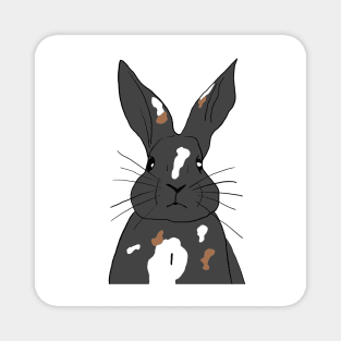 rabbit black gray white brown Magnet