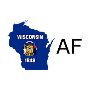 Wisconsin Flag State Outline AF (black) T-Shirt