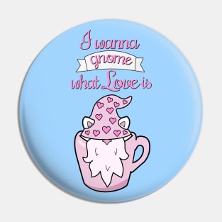 I wanna gnome what love is Pin