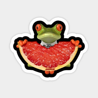 Le grenouille mange le pamplemousse Magnet